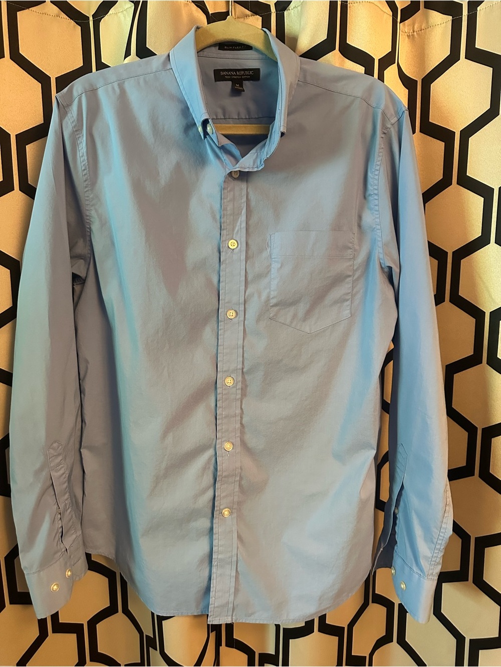 Banana Republic Light Blue Long-Sleeve Button-Down Shirt